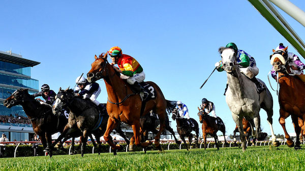 Caulfield Races